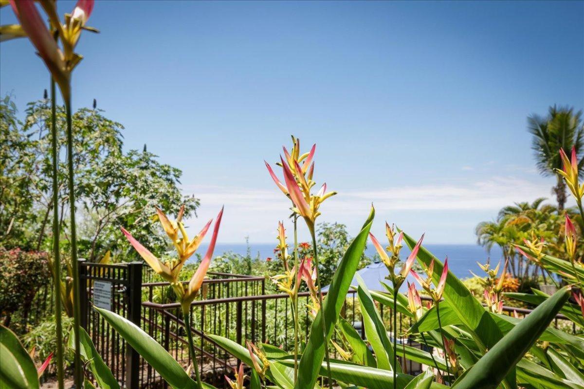 카일루아 코나 Kona Westwind 1 New! Quiet Ocean-View 1St Floor | Patio | Pool 빌라 외부 사진